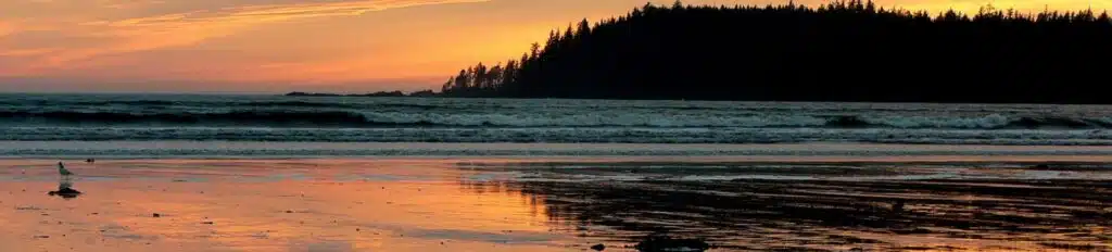 bamfield chamber of commerce