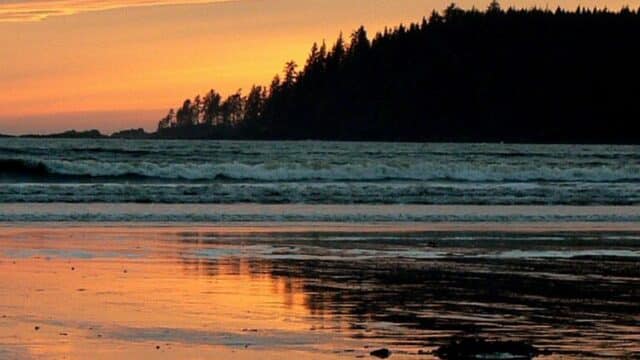 bamfield chamber of commerce